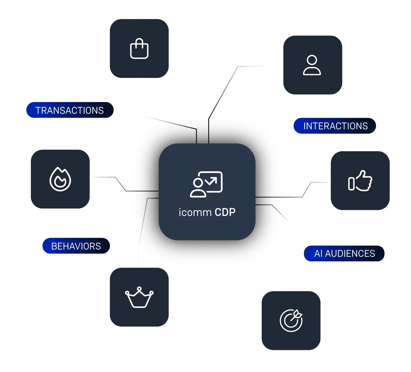 A tool built to turn data into smart decisions