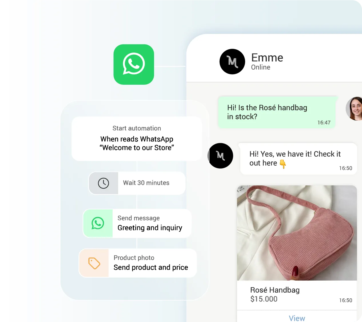 WhatsApp + Chatbot
