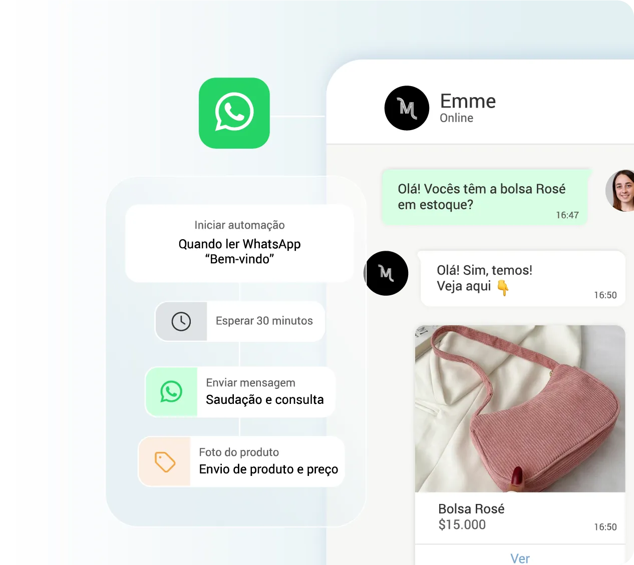 WhatsApp + Chatbot